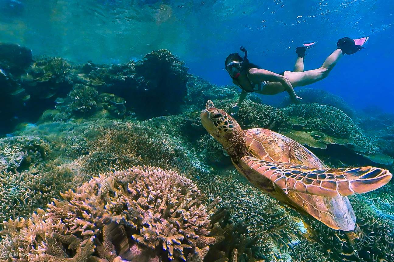 menemui dunia bawah air