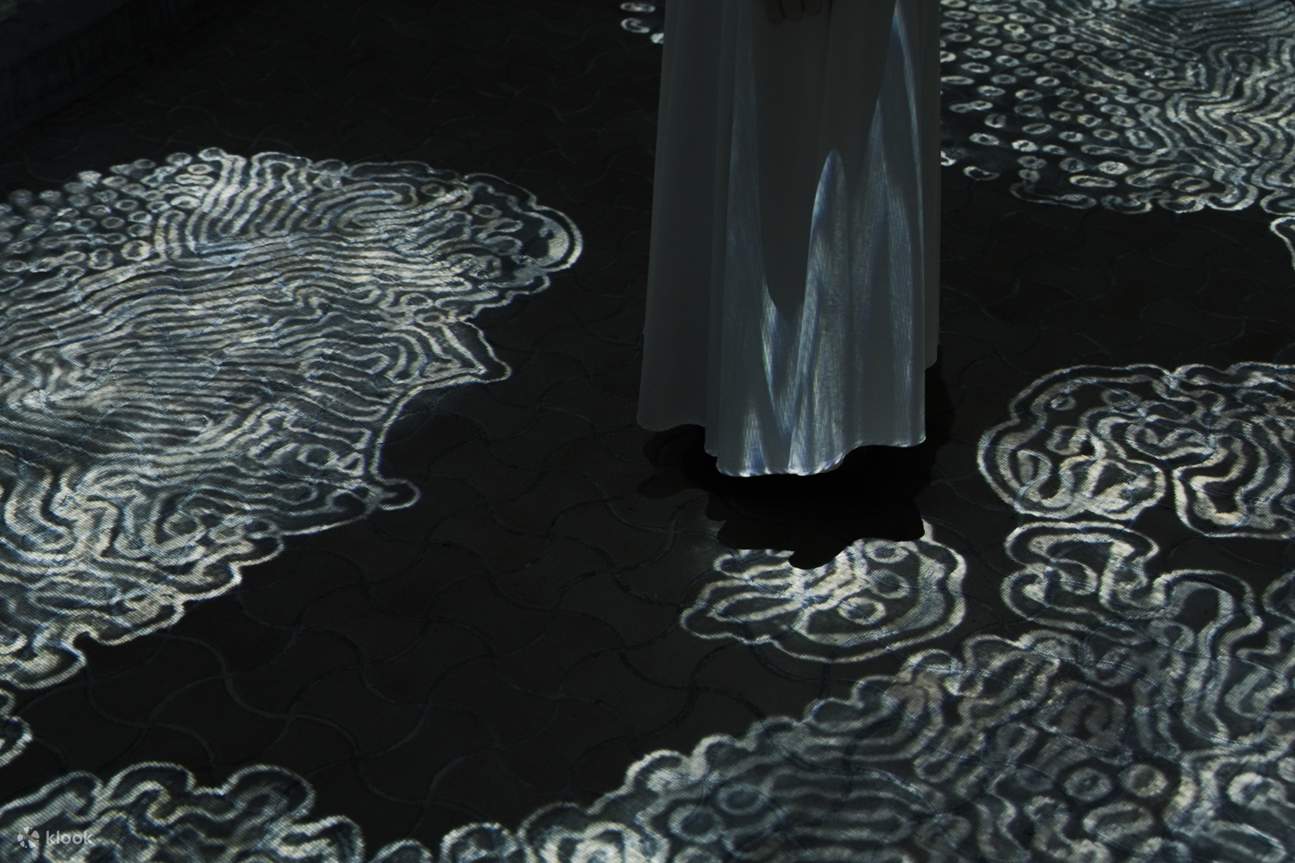 teamLab Ruins and Heritage: Rinkan Spa & Tea Ceremony Kyushu