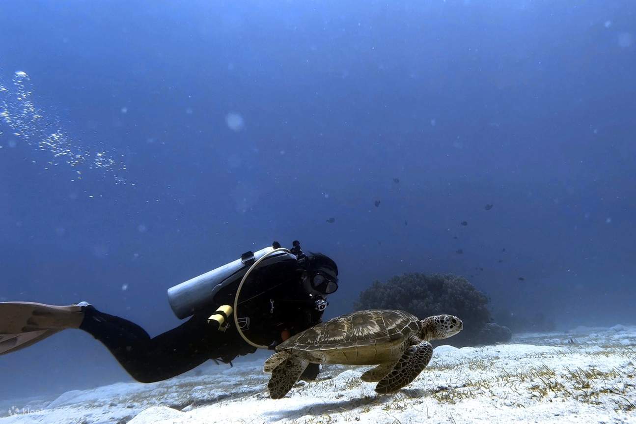 ผจญภัยดำน้ำที่อานิเลาสำหรับนักดำน้ำที่ได้รับการรับรอง