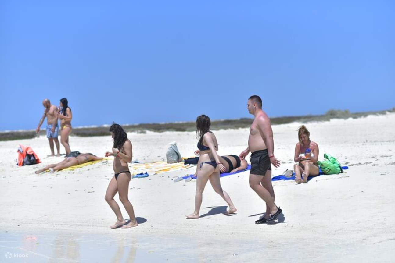 哈玛塔和库兰群岛浮潜海上之旅（含午餐） - 马萨阿拉姆