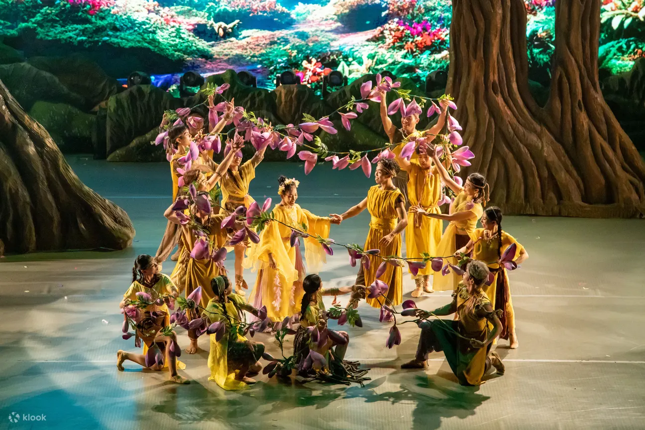 岘港天沙秀门票