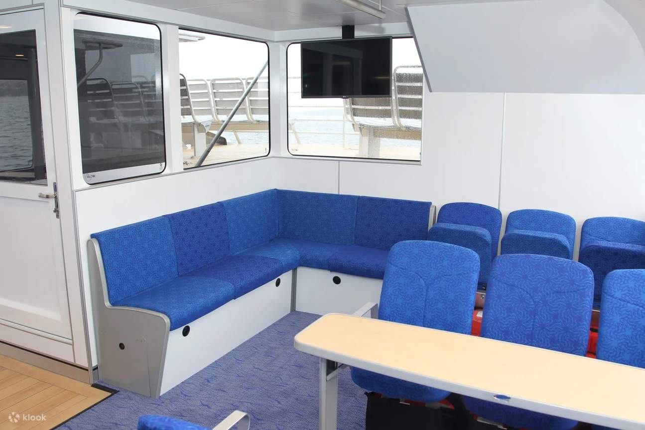 New Year's Eve Midnight Fireworks Cruise on Ocean Tracker - Klook