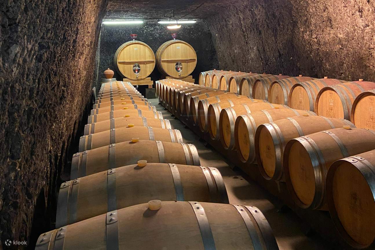 vignoble dans la vallée de la Loire