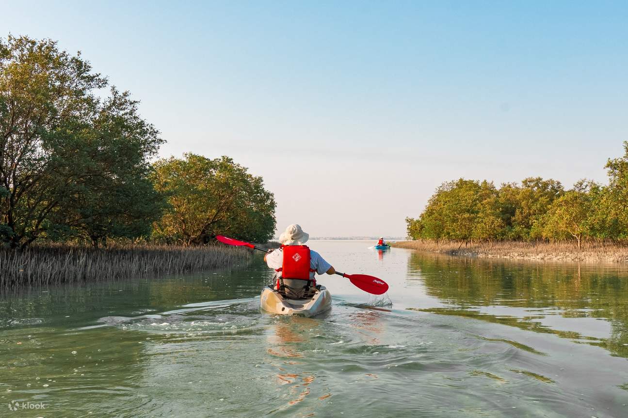 Guided Kayak Tour at Eastern Mangroves in Abu Dhabi Klook Philippines