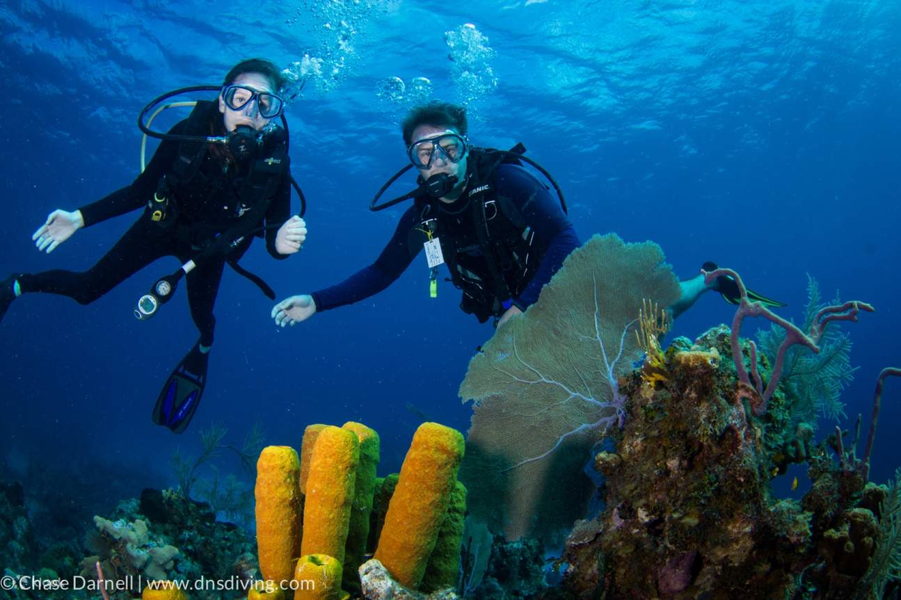 Chuyến Đi Thuyền Lặn Biển Với Bữa Trưa Dành Cho Người Mới Bắt Đầu – Marsa Alam