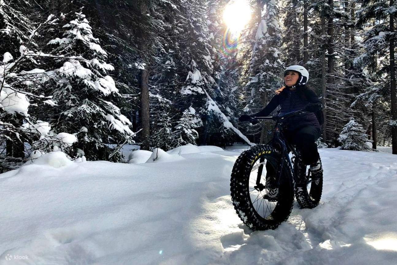 Electric fat bike snow store