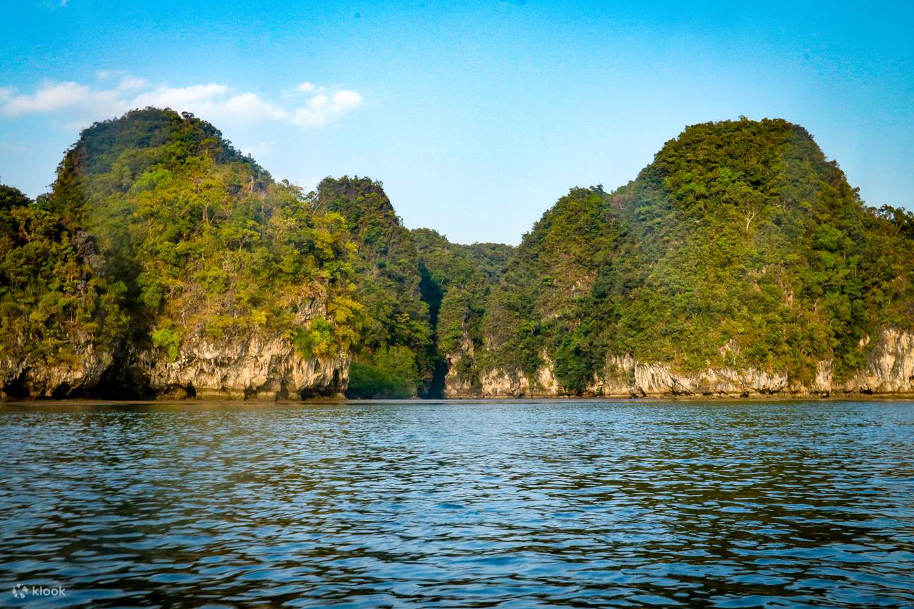 Krabi: Mangrove Kayak x Elephant Shelter Tour with Private Transfer