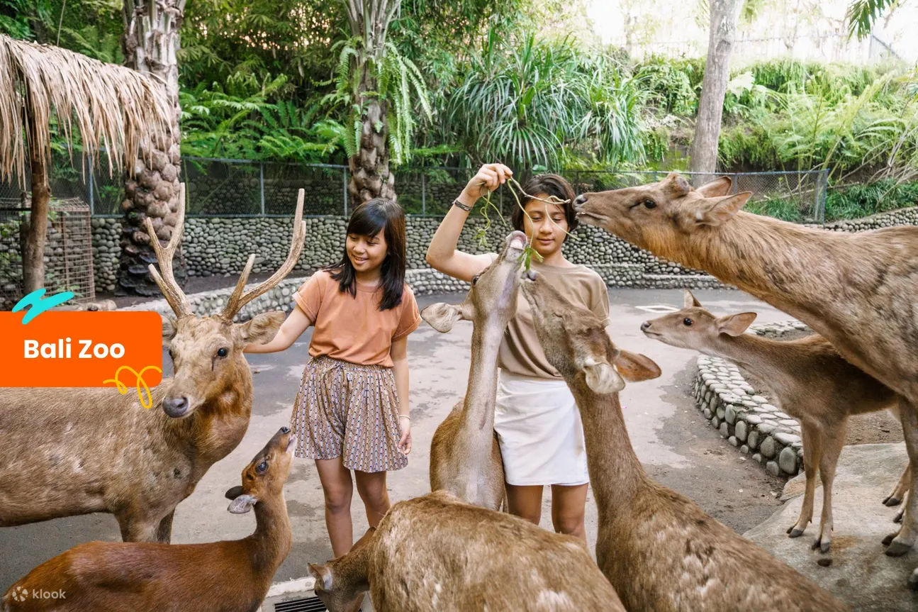 Bali Pass Klook Bali Zoo
