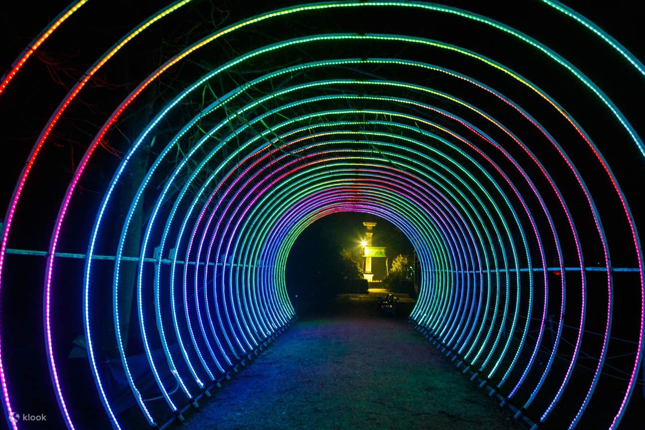 Lightopia festival store