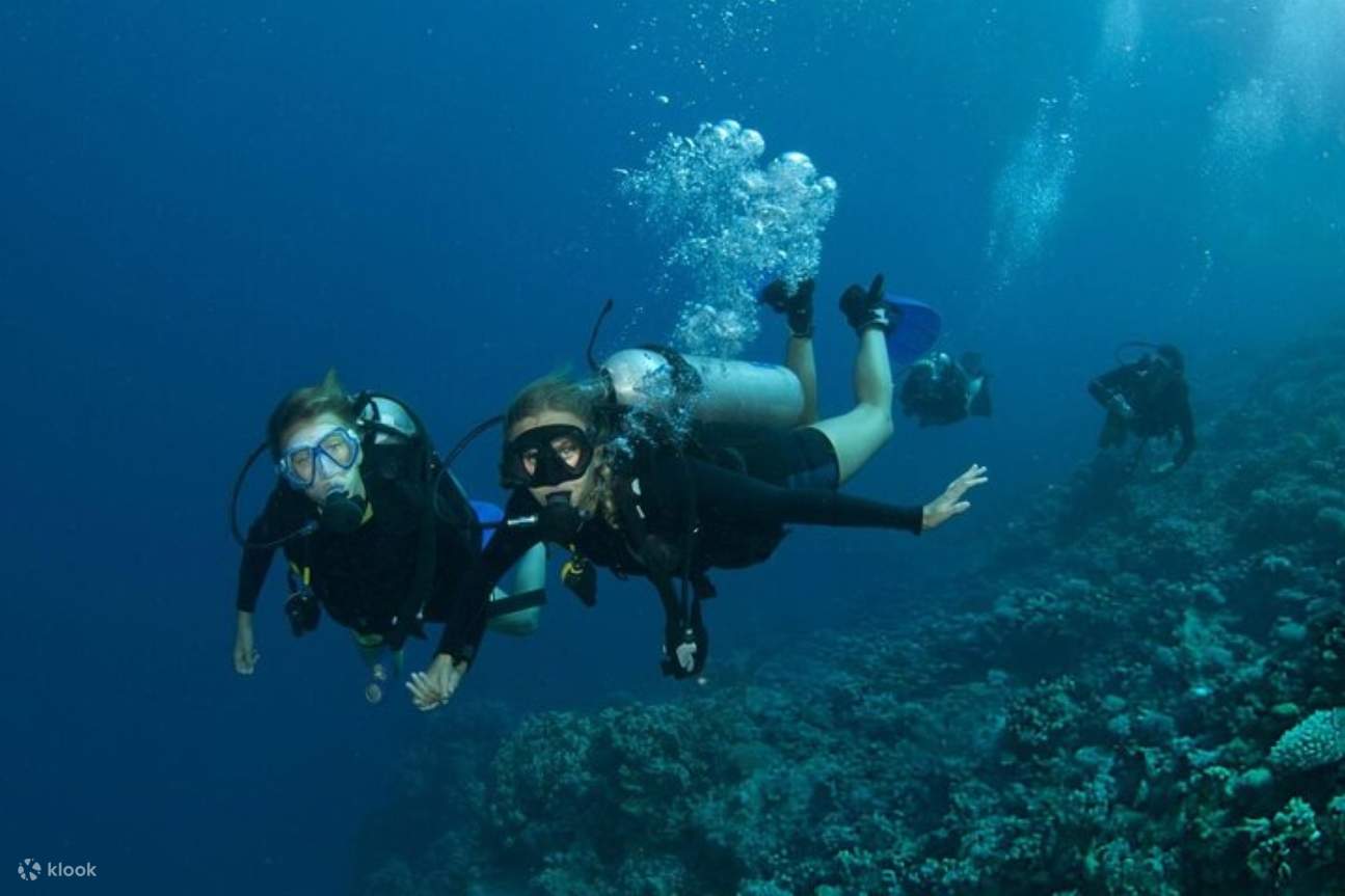 Bot Skuba Diving 2 Perhentian Menyelam untuk pemula & Makan Tengah Hari – Marsa Alam