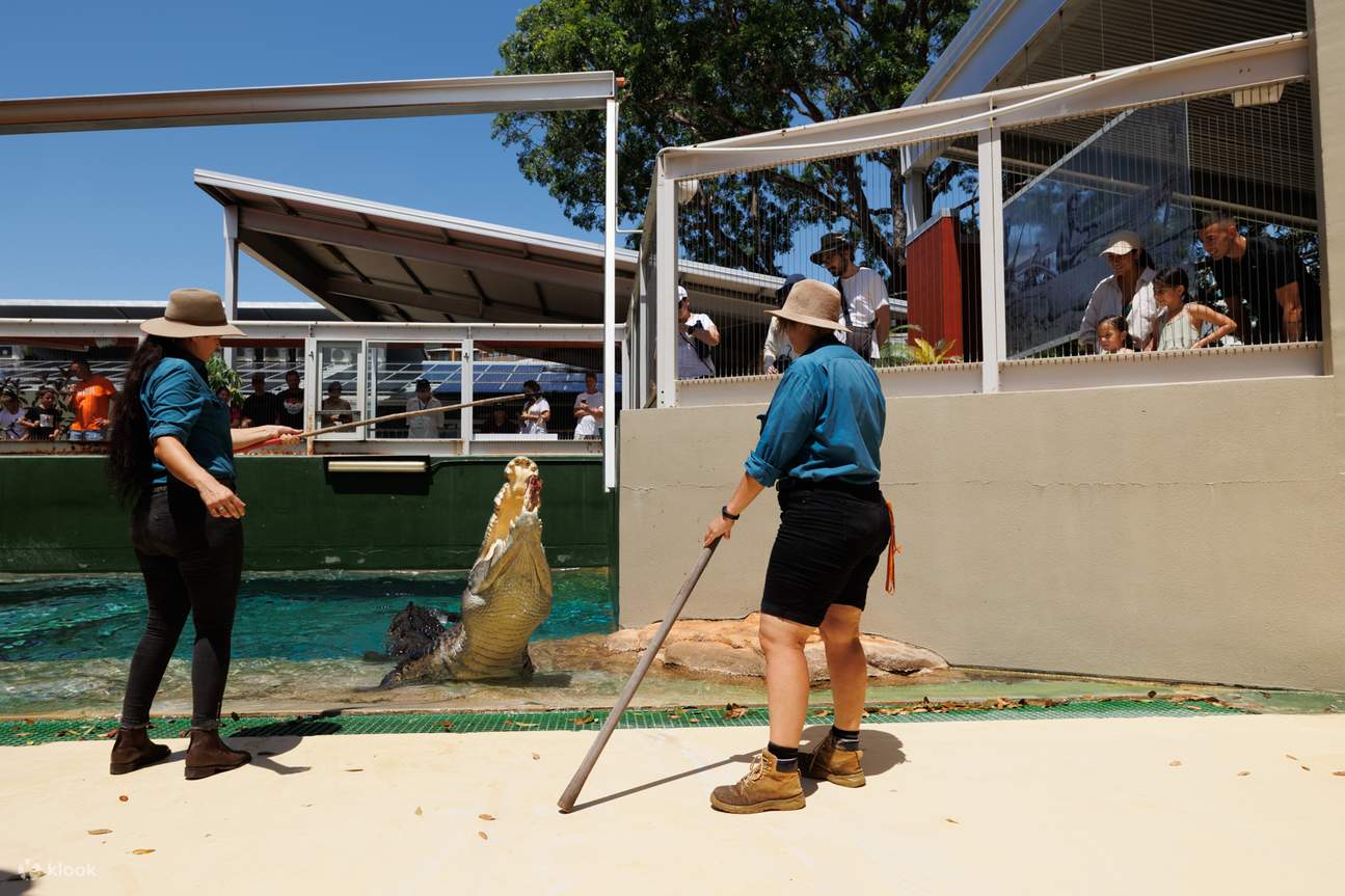 Билет Croc and Darwin