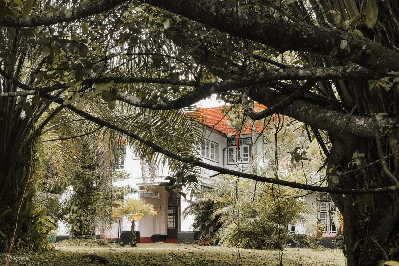 Alexandra Park Estate Private Walking Tour with Home Visit Klook