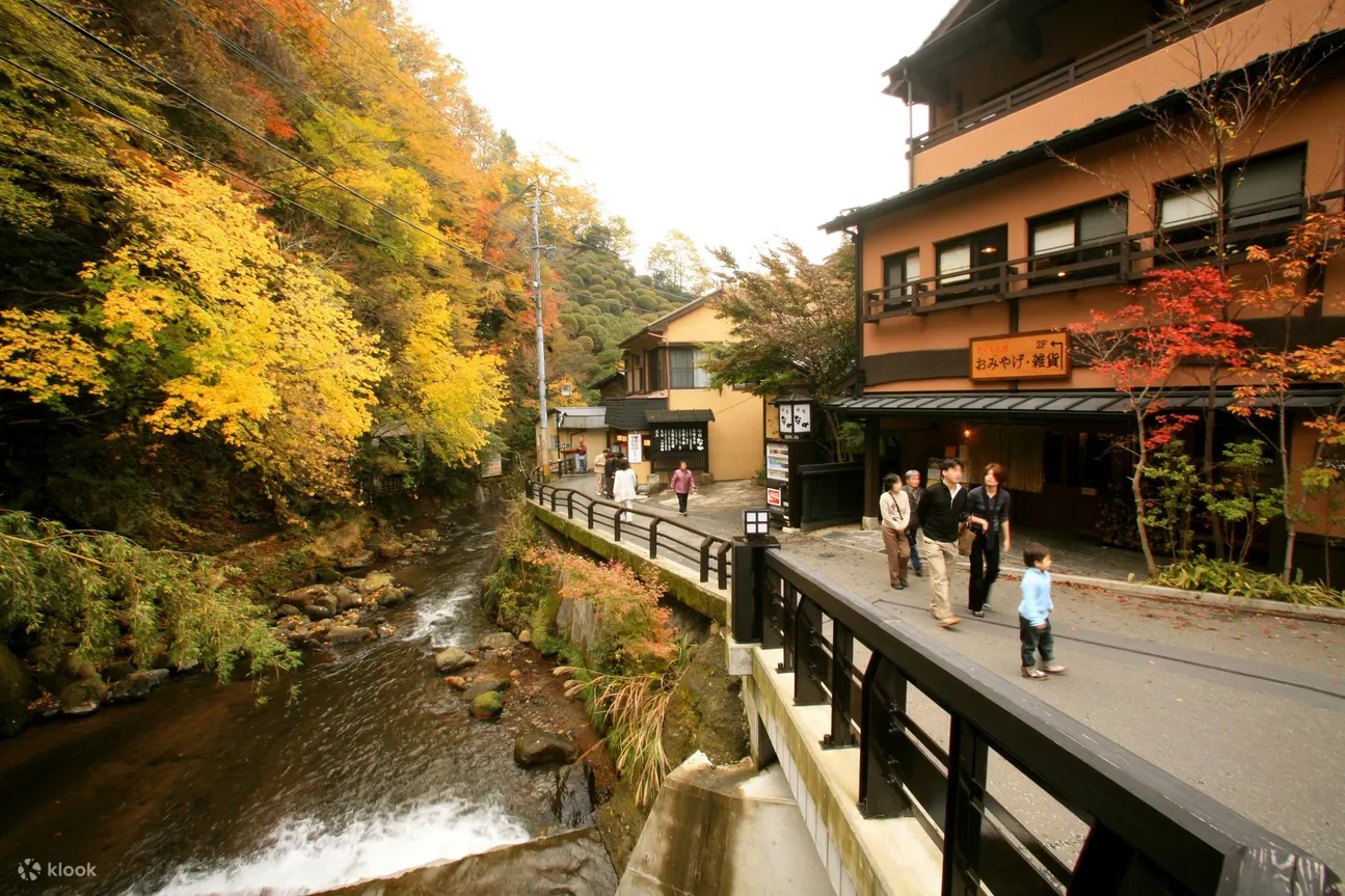 从熊本出发，前往黑川温泉的私人接送服务及可选观光行程