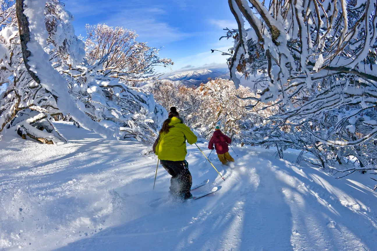 滑雪登机