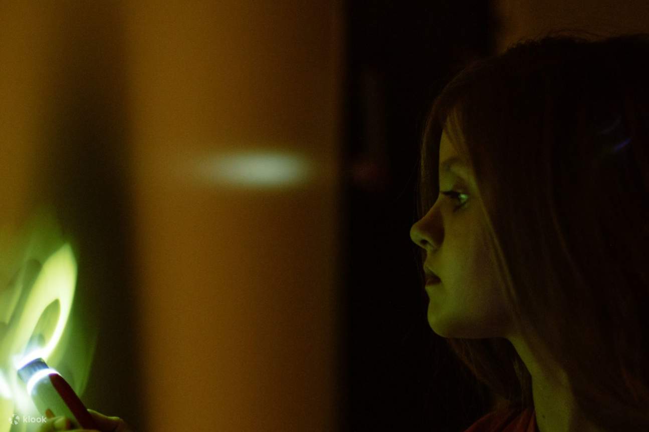 成为艺术欺骗眼睛并激发创造力的世界中的明星