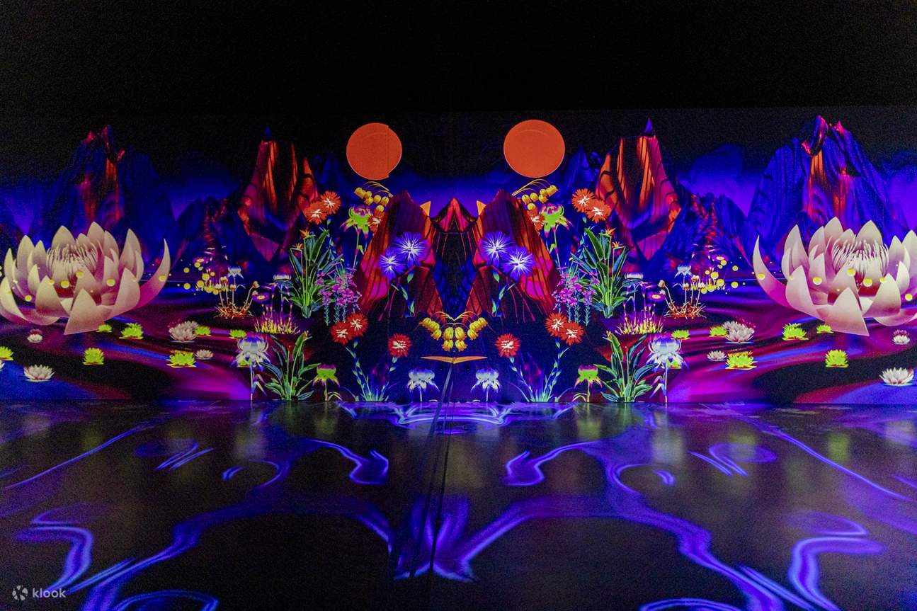 フエのソンラボ デジタル アート センター チケット | Klook