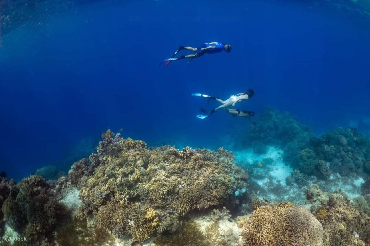 一群自由潜水员在水下游泳