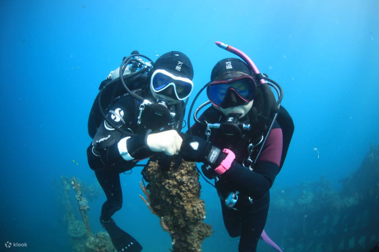 Experiencia de buceo en la isla de Jeju