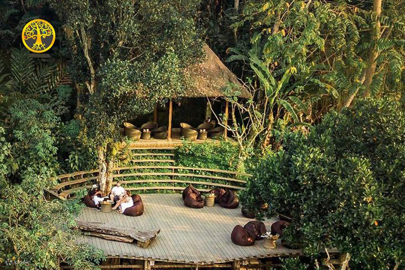 Expérience de yoga au lever du soleil à Ubud