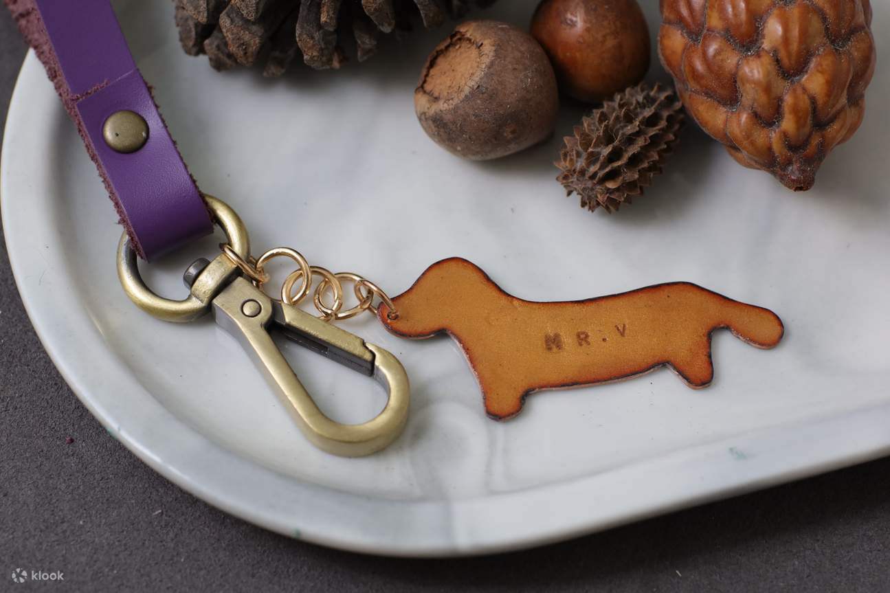 Placa de identificación personalizada para mascotas