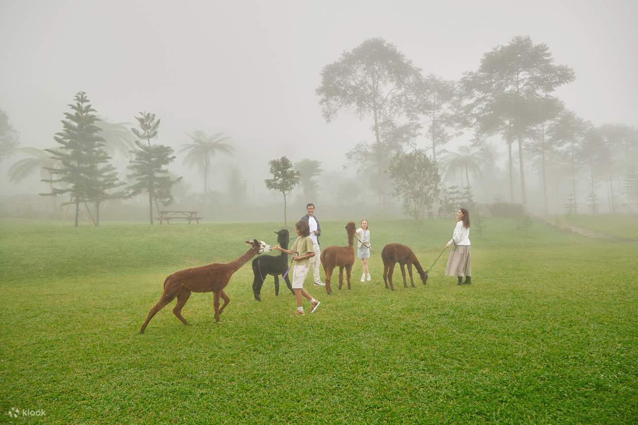 バリファームハウス 入場チケット