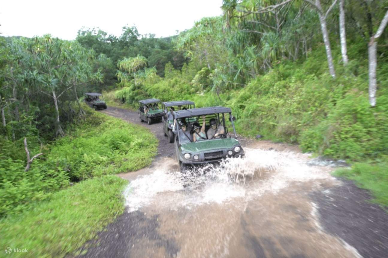 Découvrez les ruisseaux en vous aventurant au cœur de Kualoa Ranch