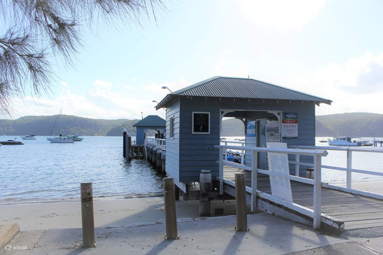 Palm Beach Harbour Hopper Sightseeing Cruise Klook Australia