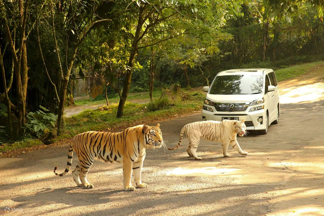 茂物野生動物園