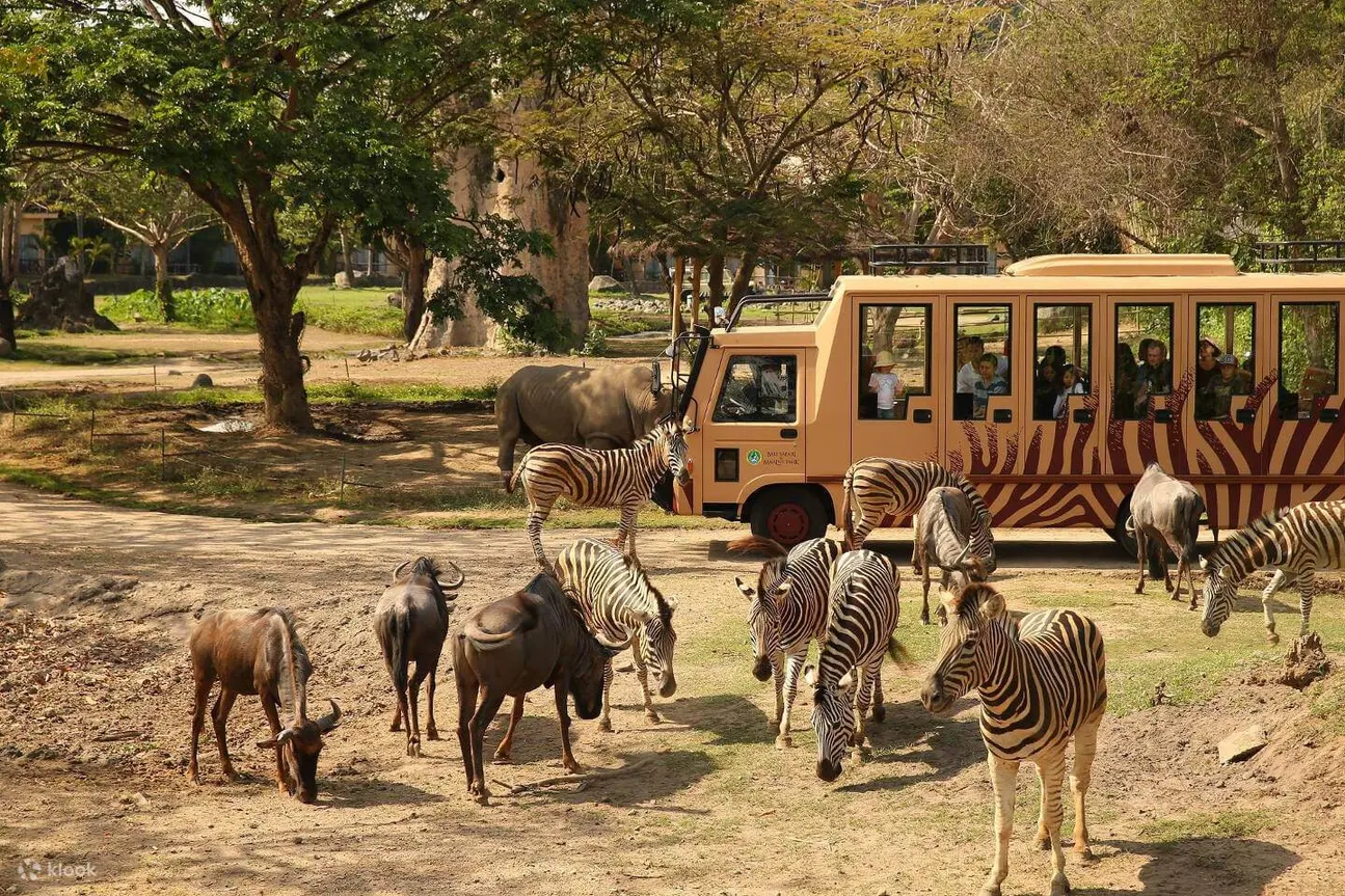 巴厘岛野生动物园 (Bali Safari Marine Park) 狩猎之旅
