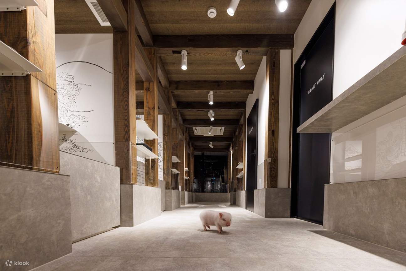 Merci de favoriser une interaction riche.