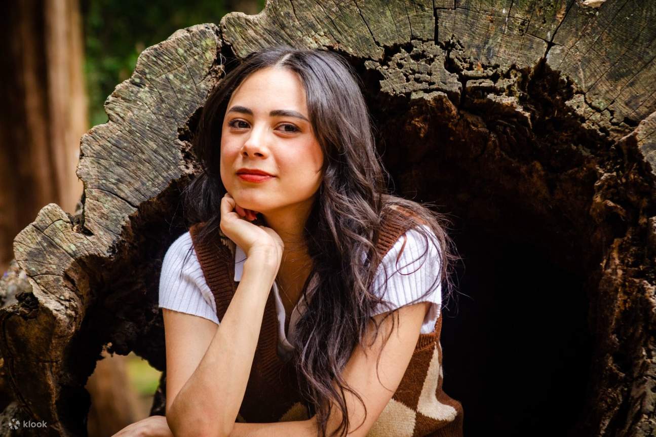 La culture et les couleurs prennent vie dans le charmant Centro de Coyoacan