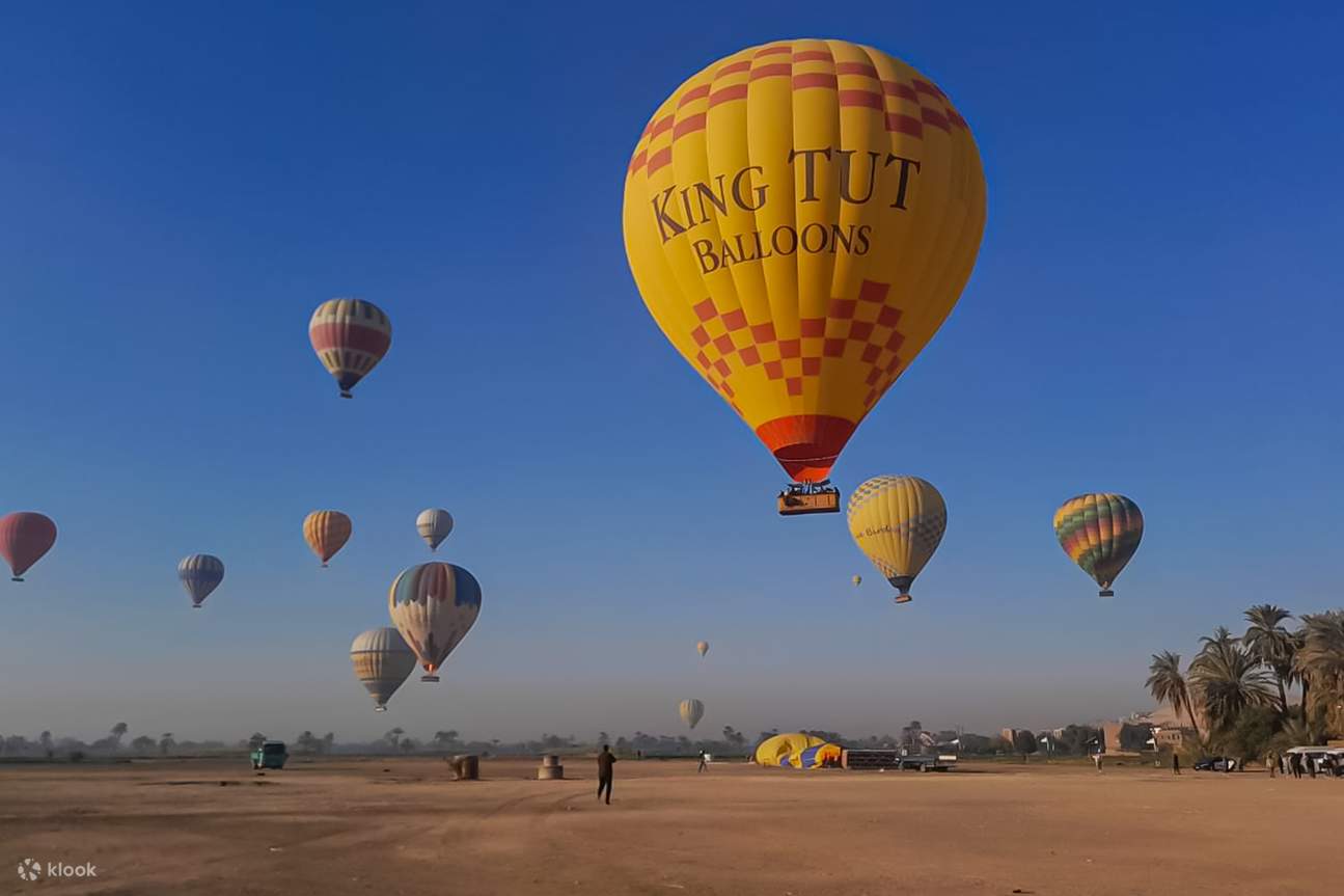 Pharaoh's Wings : Expérience en Montgolfière à Louxor