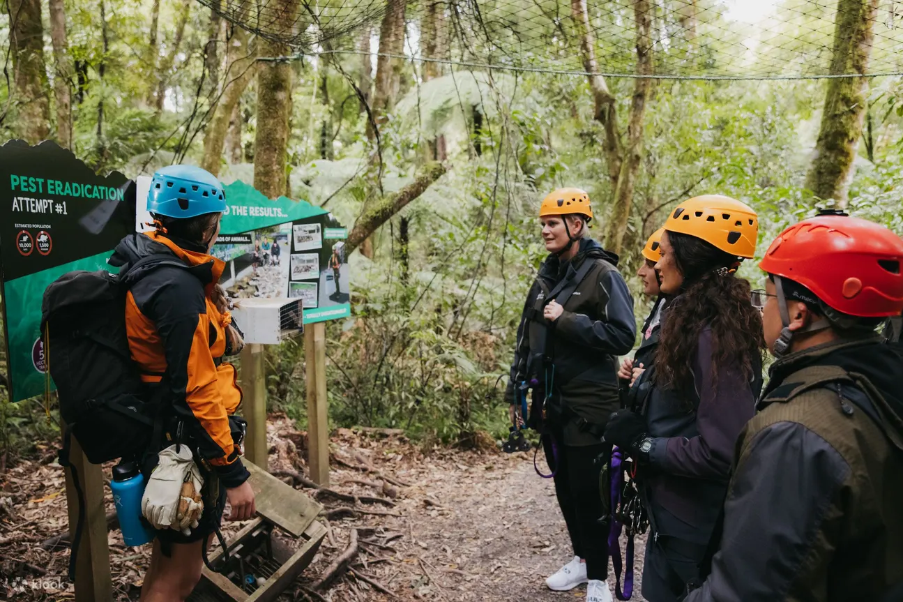 透过罗托鲁瓦树冠之旅高空滑索体验，了解我们的自然环境以及每位游客如何帮助保护它！