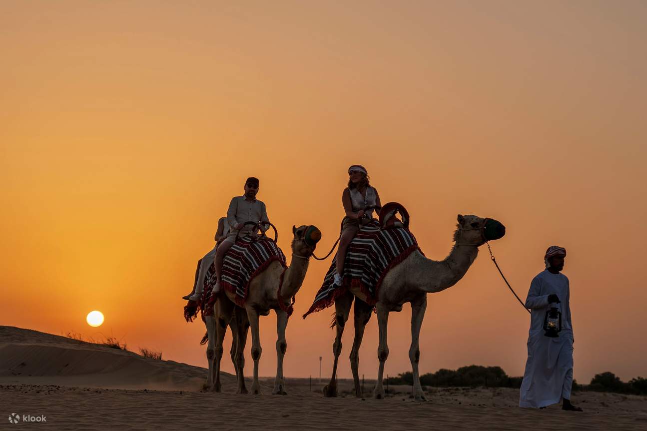 Dubai: Safari Gurun Malam dengan Naik Unta & Mengamati Bintang