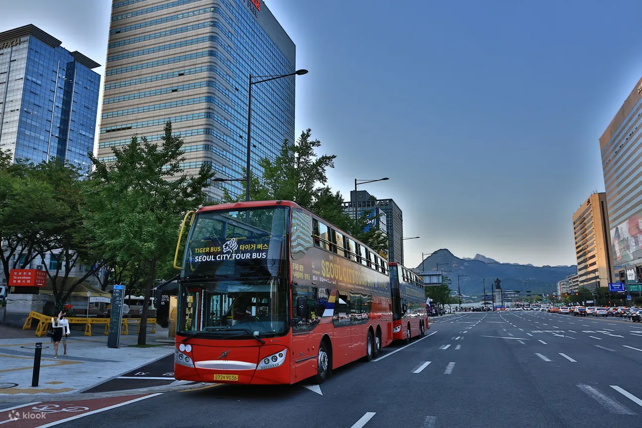 首尔城市观光巴士夜景路线