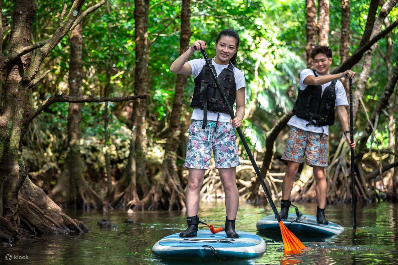 [Đảo Ishigaki/1 ngày] Trọn vẹn một ngày khám phá biển và sông! Chèo SUP/ca nô tại rừng ngập mặn (di sản thiên nhiên) & Lặn biển ngắm hang động Xanh