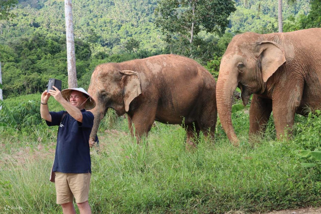 Samui Elephant Home Esperienza di Mezza Giornata Dedicata alla Cura degli Elefanti