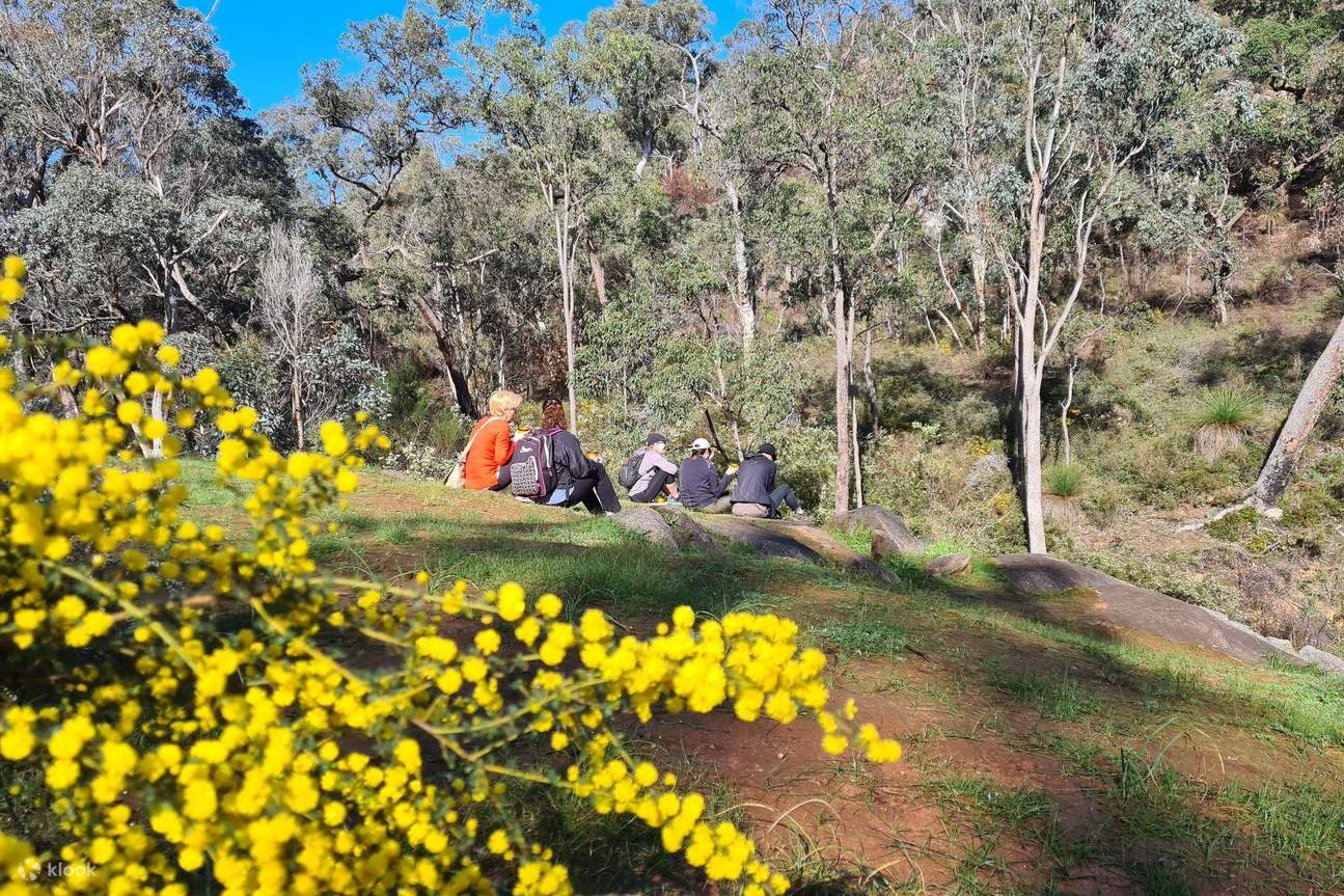 Hike, Wine & Dine Experience in the Perth Hills Klook