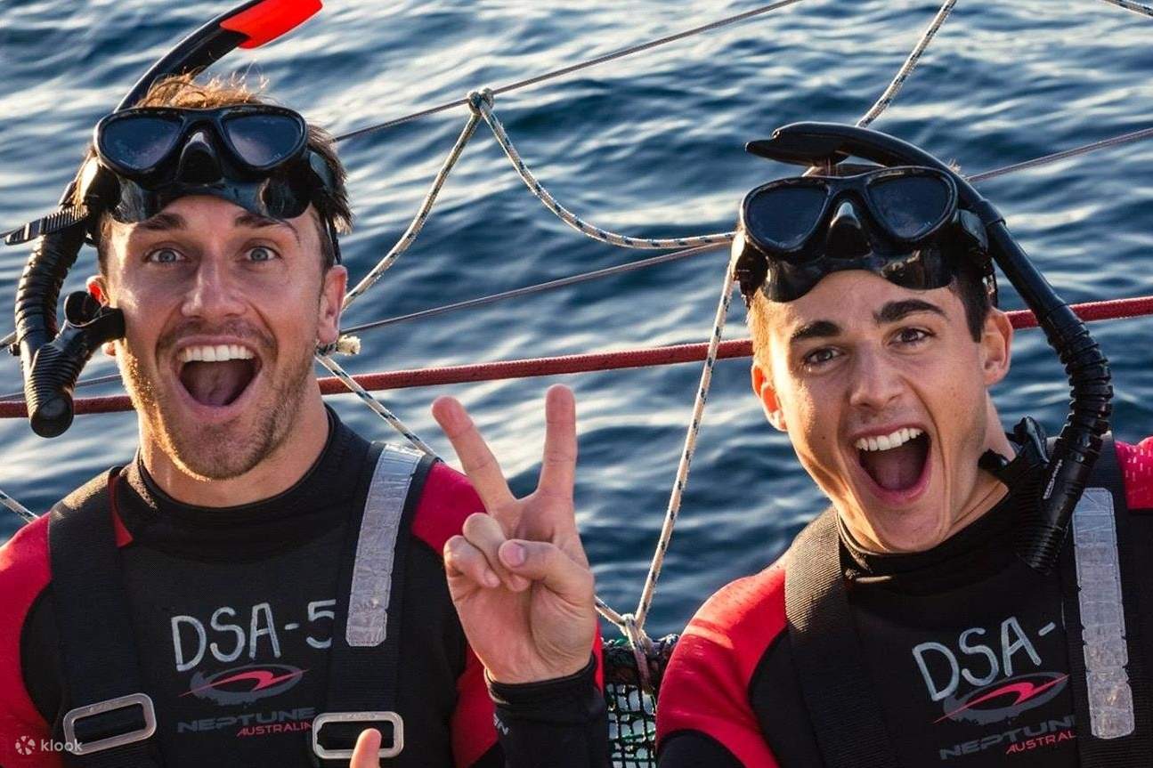 男たちはイルカウォッチングのために写真を撮っていました