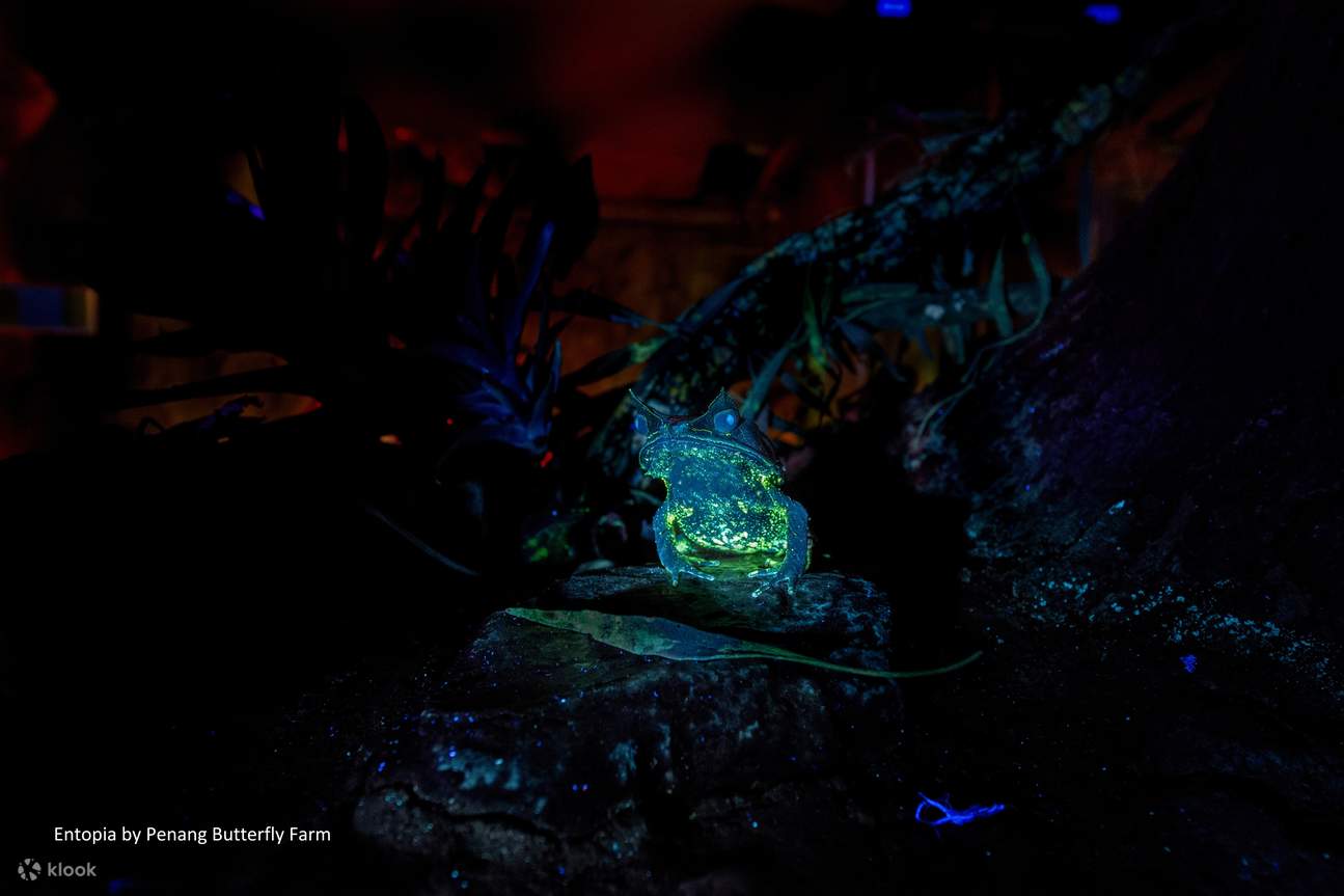 Billet pour Entopia by Penang Butterfly Farm