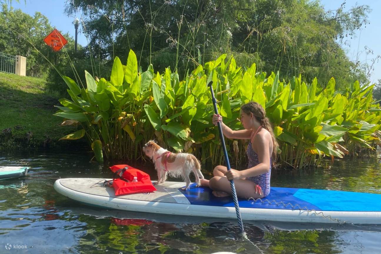 一生的划槳夥伴，在享受陽光和水的同時，創造難忘的回憶