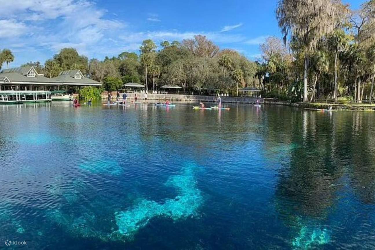 Погрузитесь в разнообразные экосистемы, скрытые под поверхностью родников