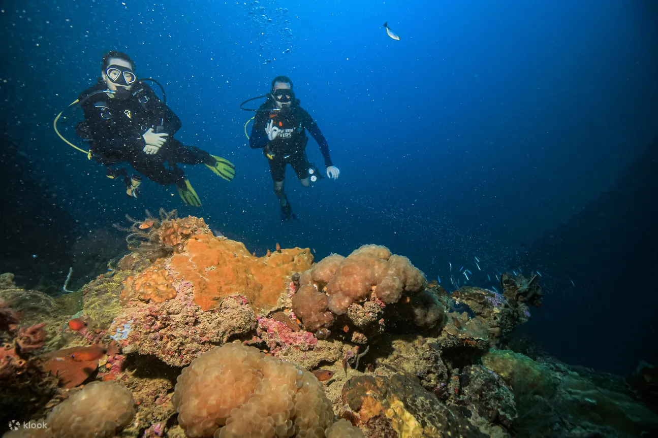 PADI Diving Courses in Koh Phi Phi