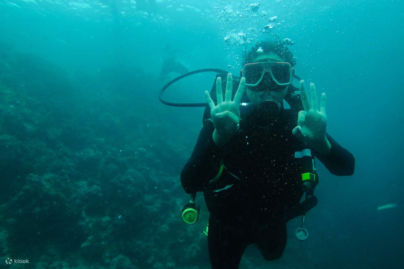 subacqueo sotto le acque dell'isola di Pescador