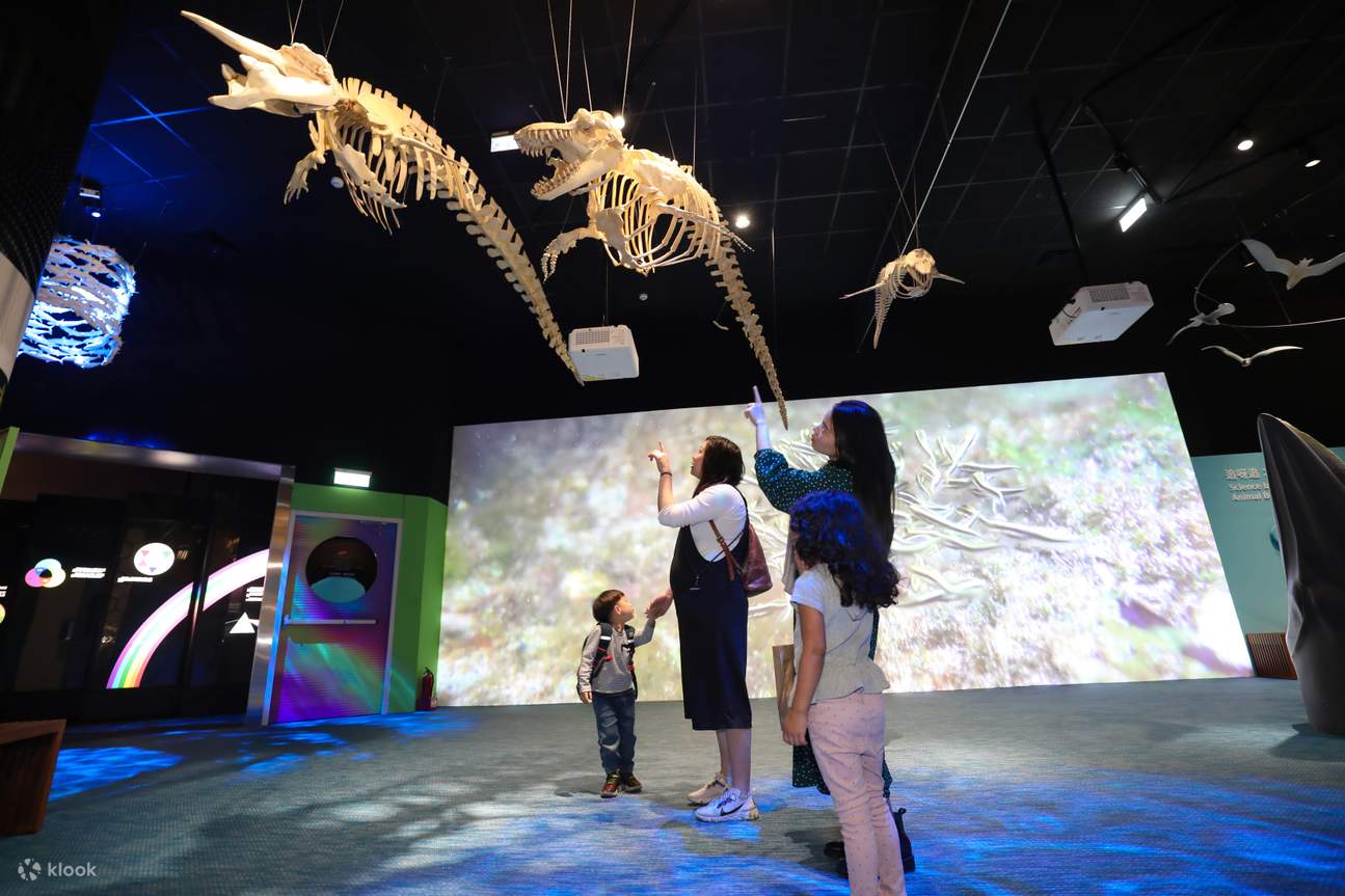台中国立自然科学博物館本館展示チケット | Klook