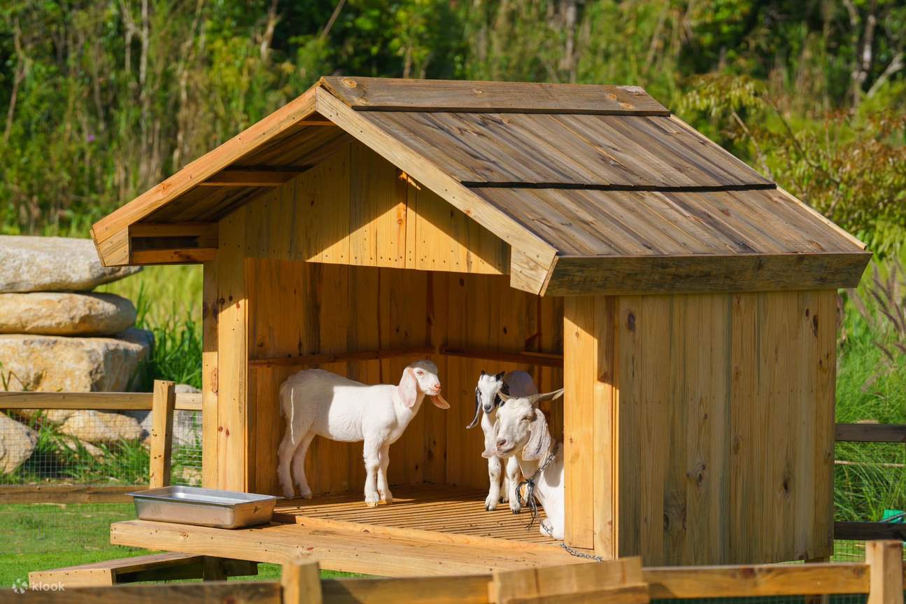 달랏 플로레스트 파크 티켓
