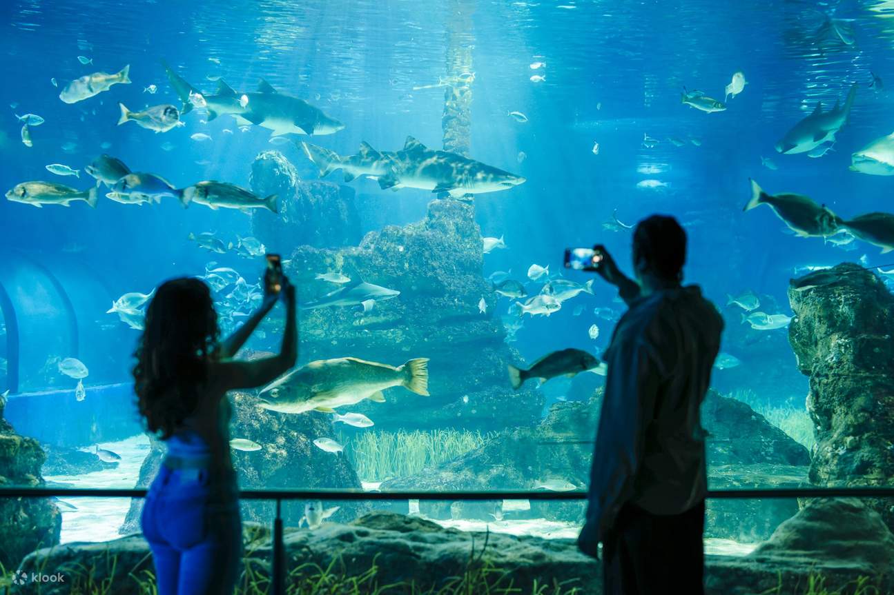 Sumérjase en el centro marino más importante de Europa dedicado a la vida marina del Mediterráneo