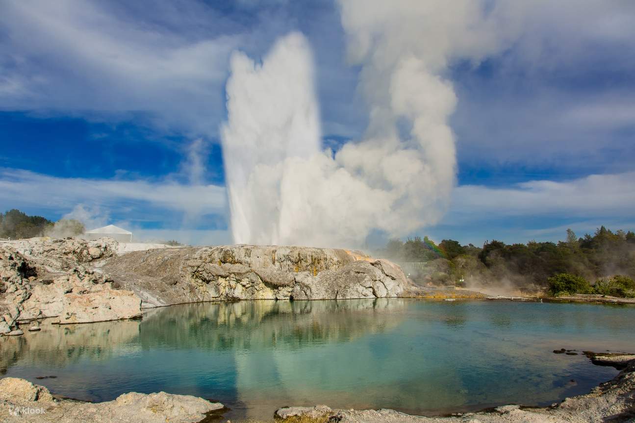 Te Puia Geothermal Valley Day Tour from Auckland - Klook Malaysia
