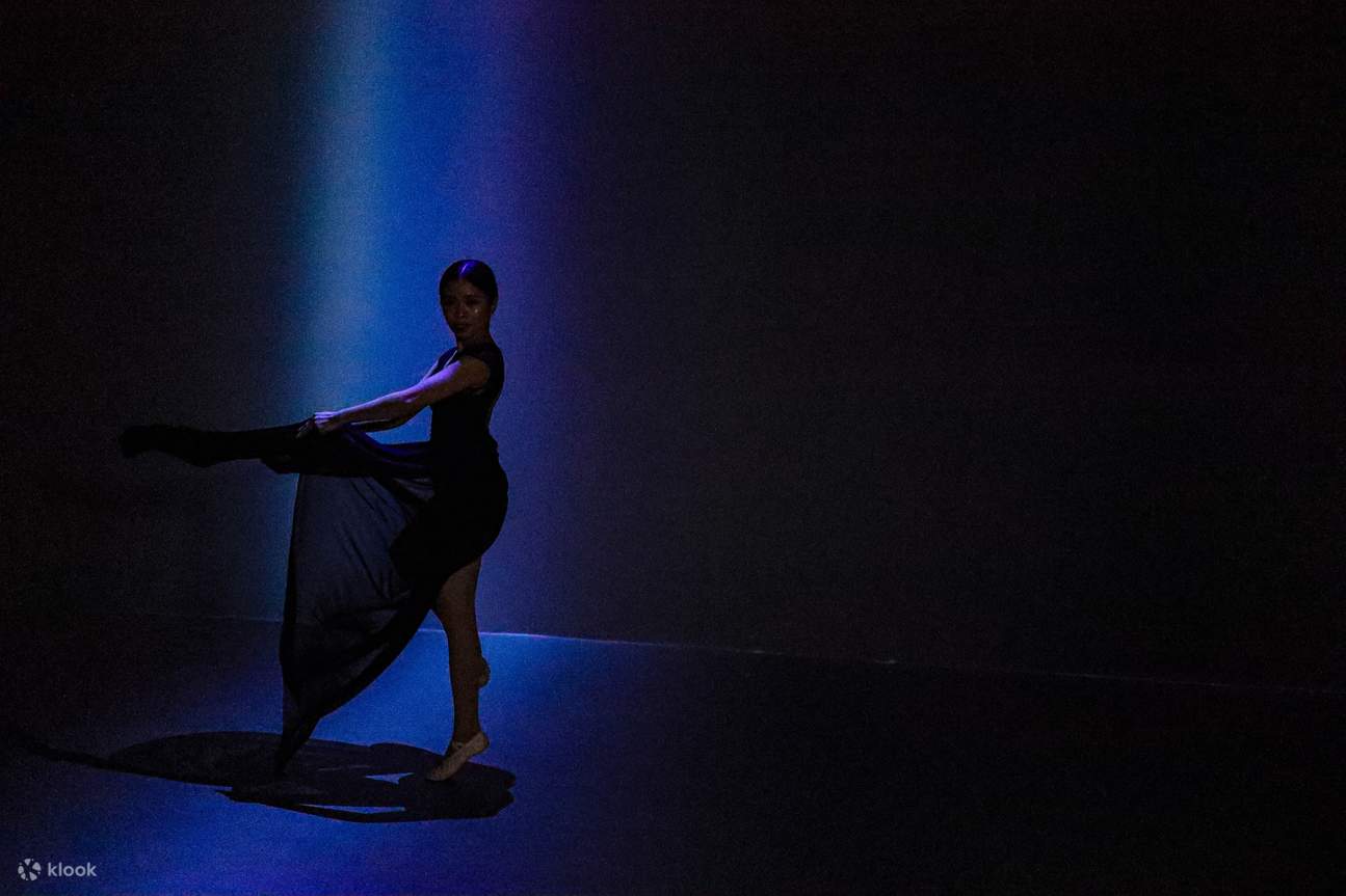 Biglietto per A Museum: Immersive Art Universe a Manila