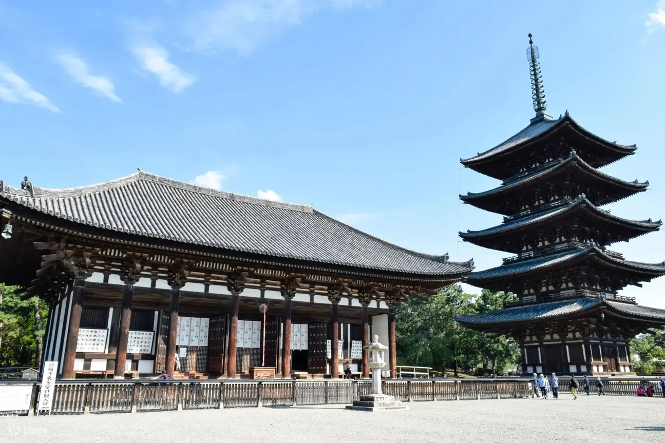奈良：兴福寺清晨导览之旅